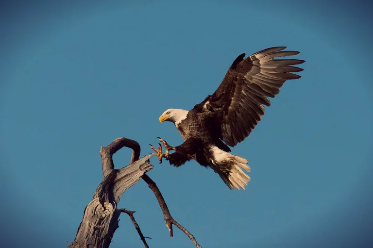 Vier Profitipps für bessere Landingpages