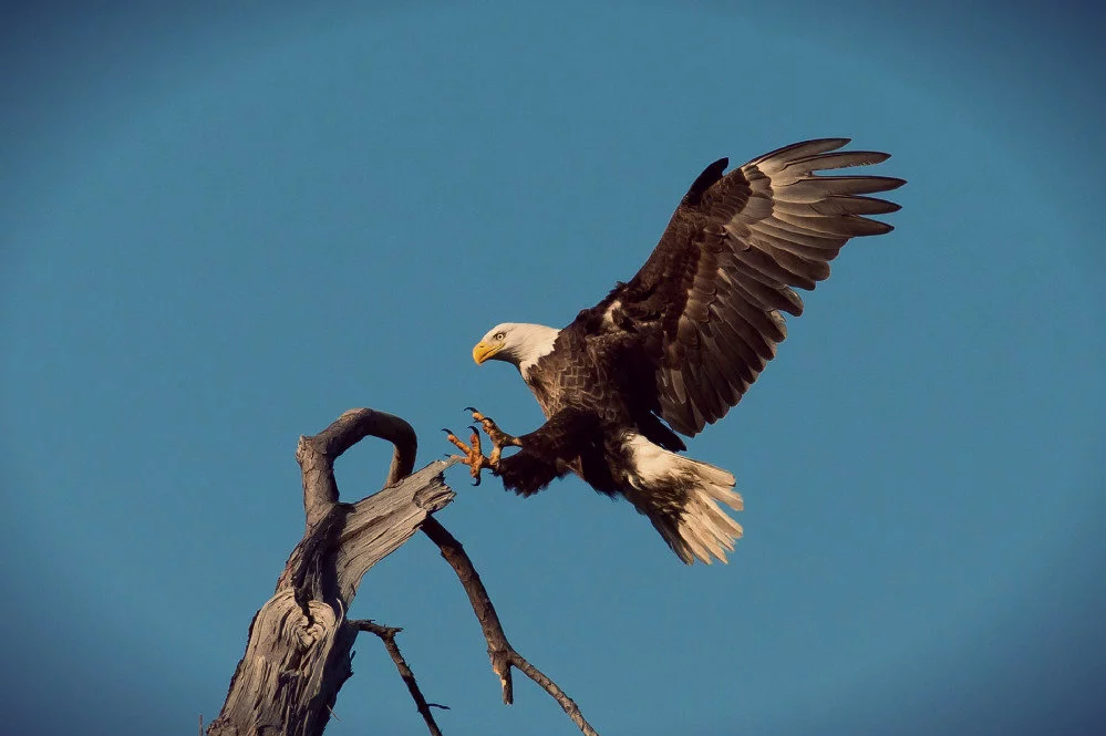 Vier Profitipps für bessere Landingpages