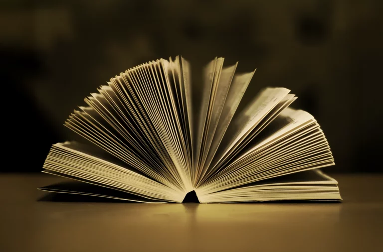 B2B: eBook & Whitepaper