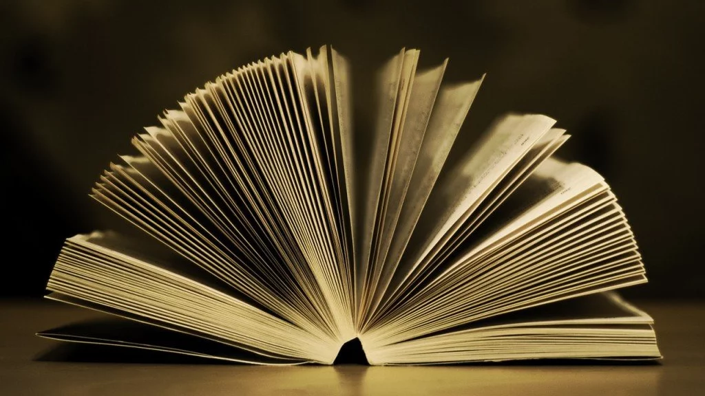 B2B: eBook & Whitepaper