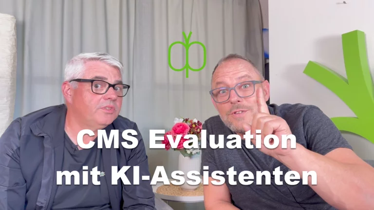 CMS-Evaluation mit KI-Assistenten richtig durchgeführt