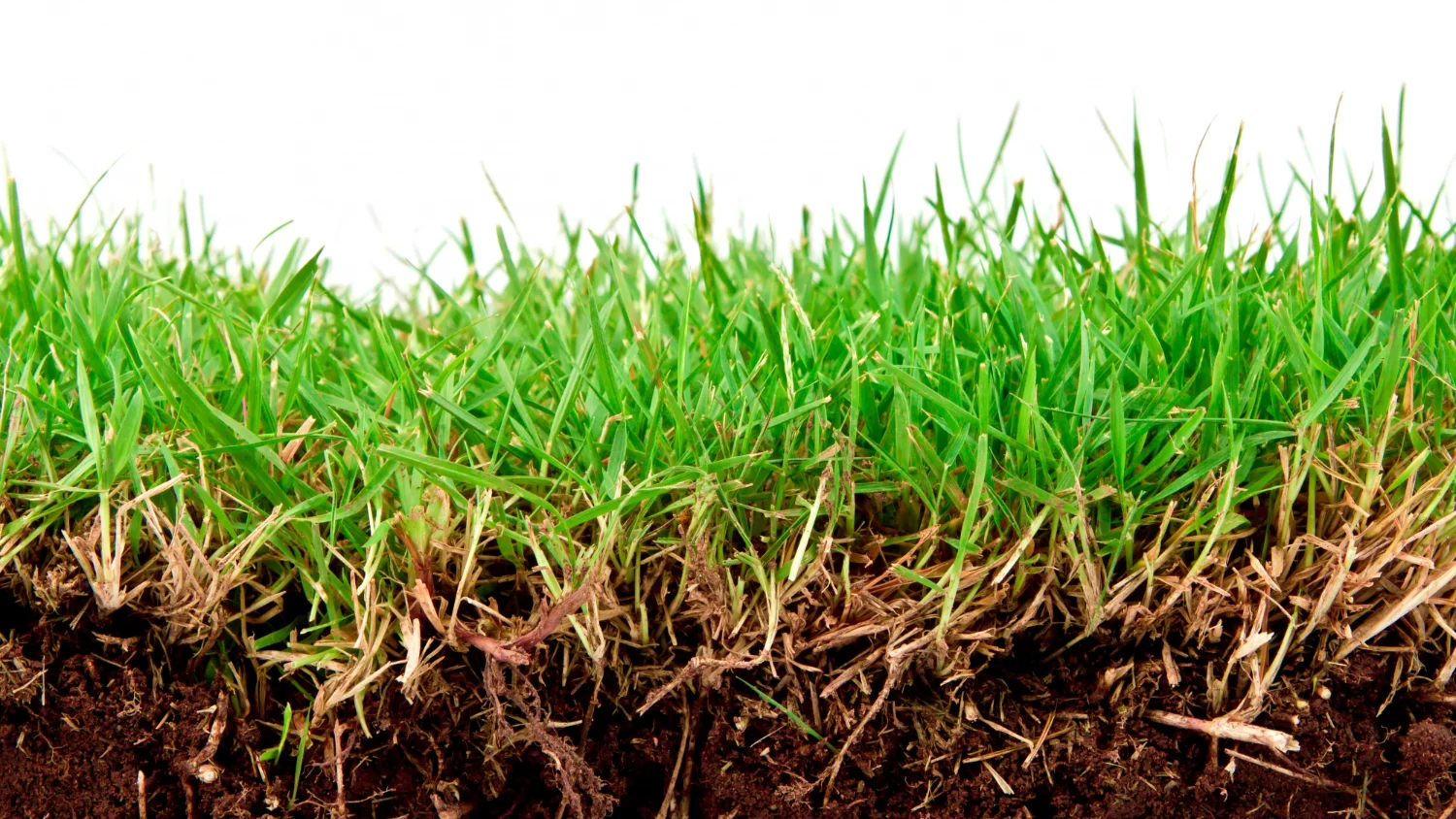 Unter der Oberfläche