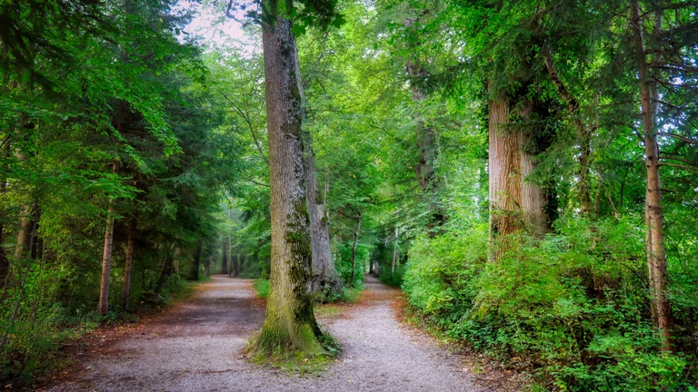 Was sind die Vorteile von A/B-Tests?