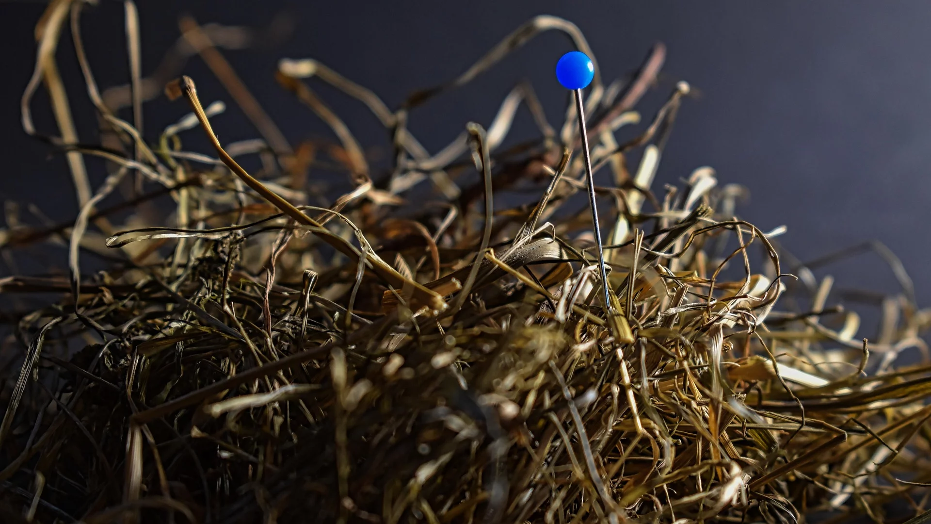 7 Tipps für Ihre SEO-Strategie