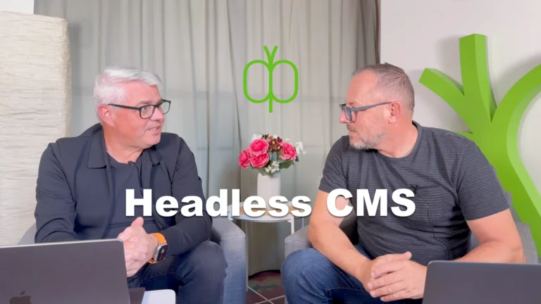 Headless CMS einfach erklärt Headless CMS einfach erklärt